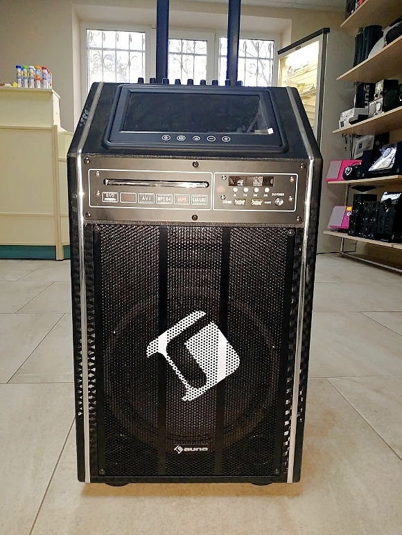 Портативная акустическая система Auna DisGo DVD Box-100 (300Вт)