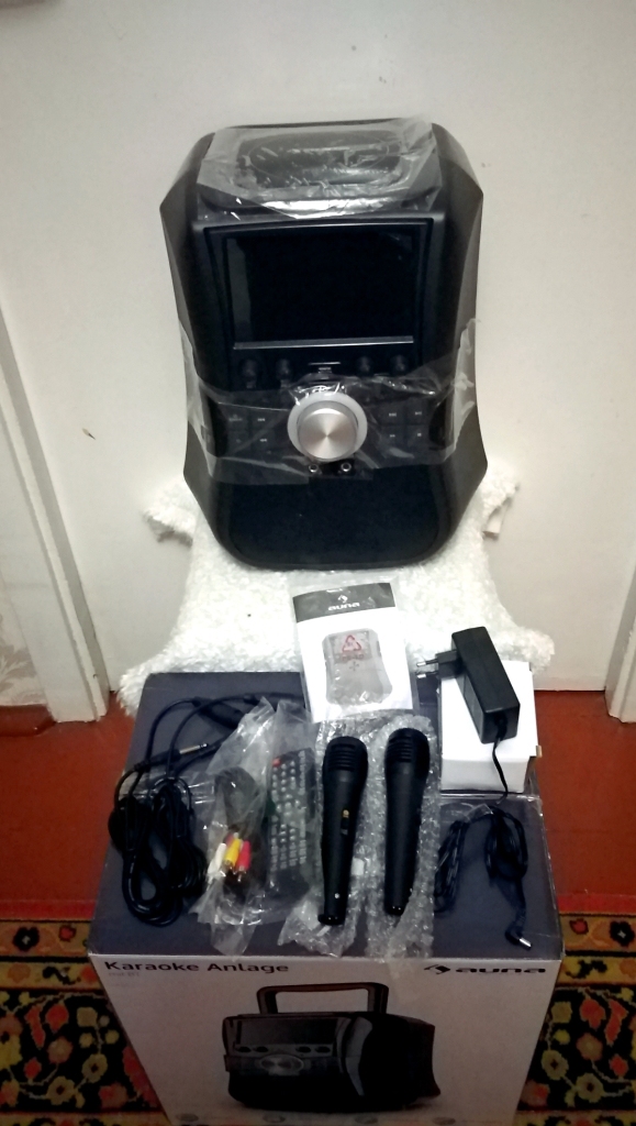 Музыкальная караоке-система Auna Stage Hero (АКБ,BT,AUX,USB,FM)