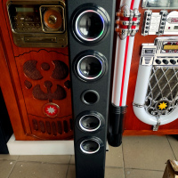 Акустическая мульти система ONEconcept Tallboy (karaoke,АКБ,FM,BT,USB,SD,AUX) black