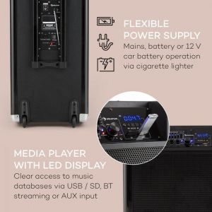 Активная система Auna Moving 120 (АКБ,BT,FM,VHF,USB,SD,AUX) 200Вт