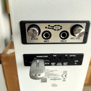 Акустическая система ONEconcept Tallboy(АКБ,BT,USB,SD,MP3,AUX) white