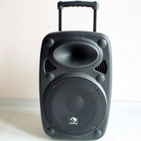  Активная колонка Auna StreetStar PA15 (АКБ,BT,USB,SD,AUX) 500Вт