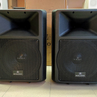 Пара активных колонок Malone PW-EV-12a (12") 2х1100W
