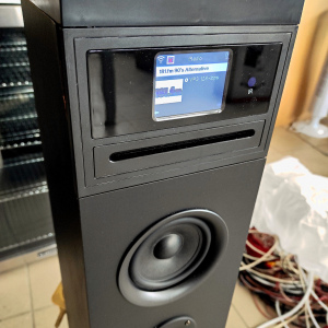 Музыкальный интернет центр  Auna Karaboom-100 (120 Вт)