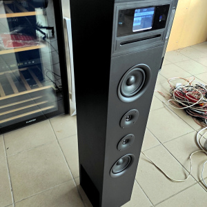 Музыкальный интернет центр  Auna Karaboom-100 (120 Вт)