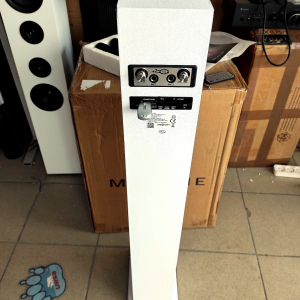 Акустическая система ONEconcept Tallboy(АКБ,BT,USB,SD,MP3,AUX) white