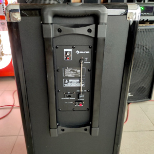 Активная система Auna Moving 120 (АКБ,BT,FM,VHF,USB,SD,AUX) 200Вт