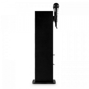 Активная караоке-колонка Black Auna Karaboom (LED,Bluetooth,USB,AUX,2-microphone)