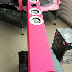 Акустическая мульти система ONE concept Tallboy (karaoke,АКБ,FM,BT,USB,SD,AUX) pink