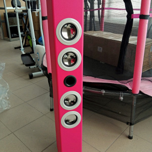 Акустическая мульти система ONE concept Tallboy (karaoke,АКБ,FM,BT,USB,SD,AUX) pink