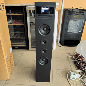 Музыкальный интернет центр  Auna Karaboom-100 (120 Вт)