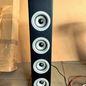 Активная караоке-колонка Black Auna Karaboom (LED,Bluetooth,USB,AUX,2-microphone)