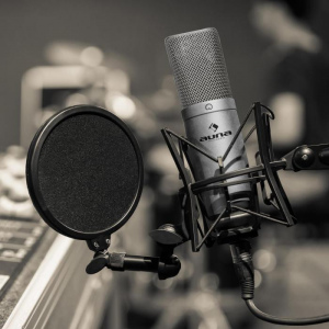 Конденсаторный микрофон Auna MIC-900S USB (Silver)
