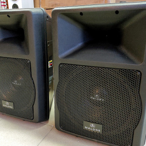 Пара активных колонок Malone PW-EV-12a (12") 2х1100W