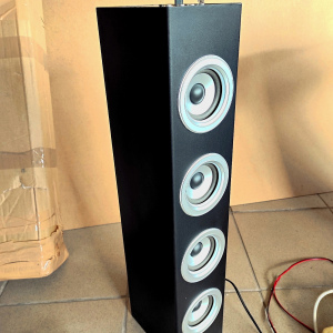 Активная караоке-колонка Black Auna Karaboom (LED,Bluetooth,USB,AUX,2-microphone)