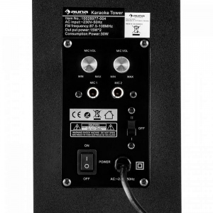 Активная караоке-колонка Black Auna Karaboom (LED,Bluetooth,USB,AUX,2-microphone)
